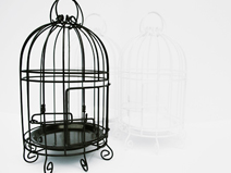 this is not a bird cage